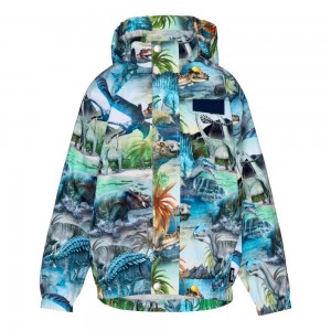 Molo Waiton Rainwear Dino Fantastic | FI0000064