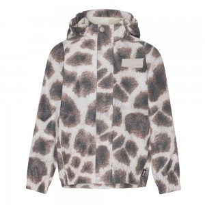 Molo Waiton Rainwear Giraffe | FI0000091