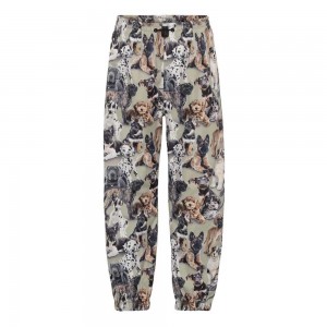 Molo Waits Rainwear Pups Camo | FI0000096