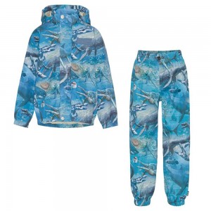 Molo Whalley Rainwear Big Ancient Sea | FI0000087