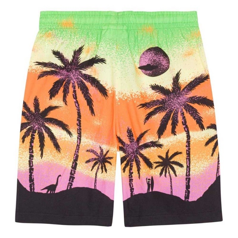 Molo Adi Pojille Shorts Alien Island | FI0000688