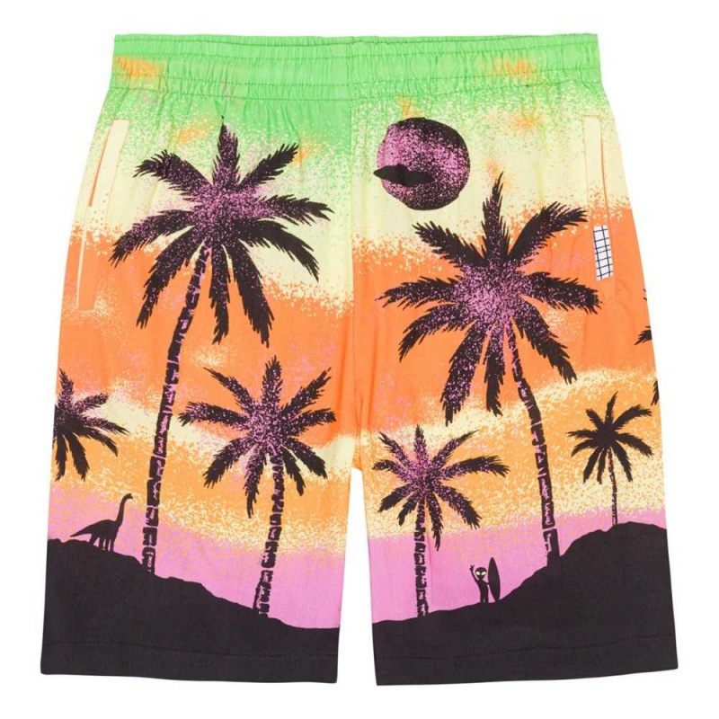 Molo Adi Pojille Shorts Alien Island | FI0000688