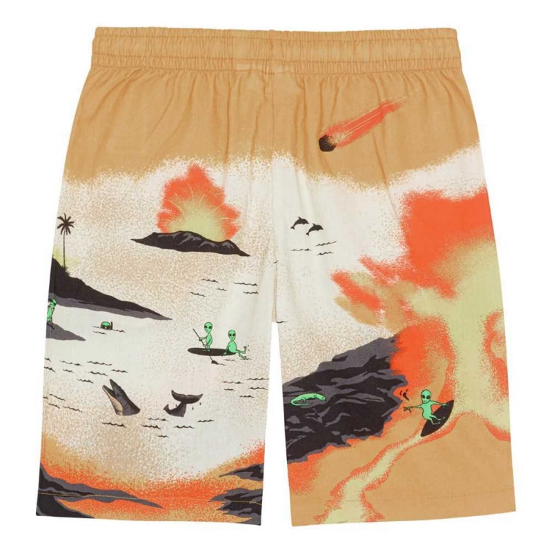 Molo Adi Pojille Shorts Alien Tourists | FI0000711