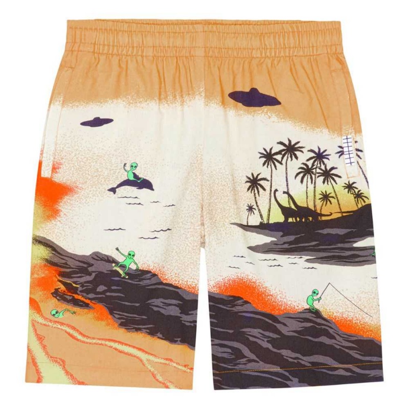 Molo Adi Pojille Shorts Alien Tourists | FI0000711