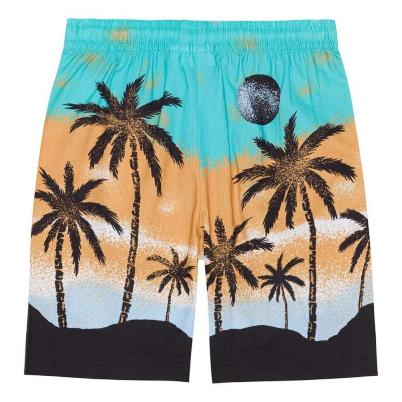 Molo Adi Pojille Shorts Holiday Island | FI0000690