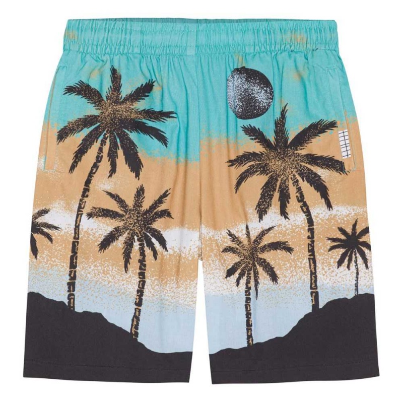 Molo Adi Pojille Shorts Holiday Island | FI0000690