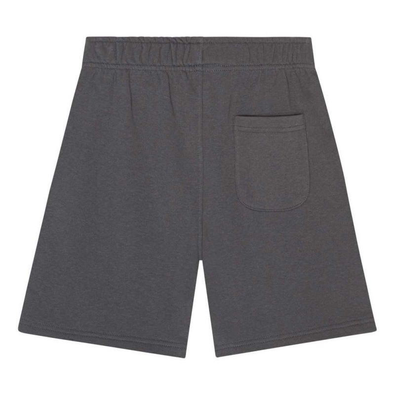 Molo Adian Pojille Shorts Iron Gate | FI0000714