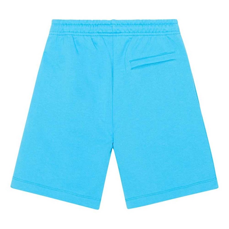 Molo Adrian Pojille Shorts Turquoise Blue | FI0000731