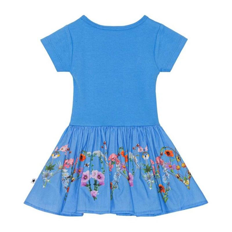 Molo Carin Tytöille Dresses Little Garden | FI0001308