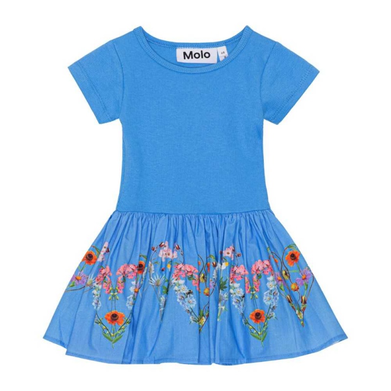 Molo Carin Tytöille Dresses Little Garden | FI0001308