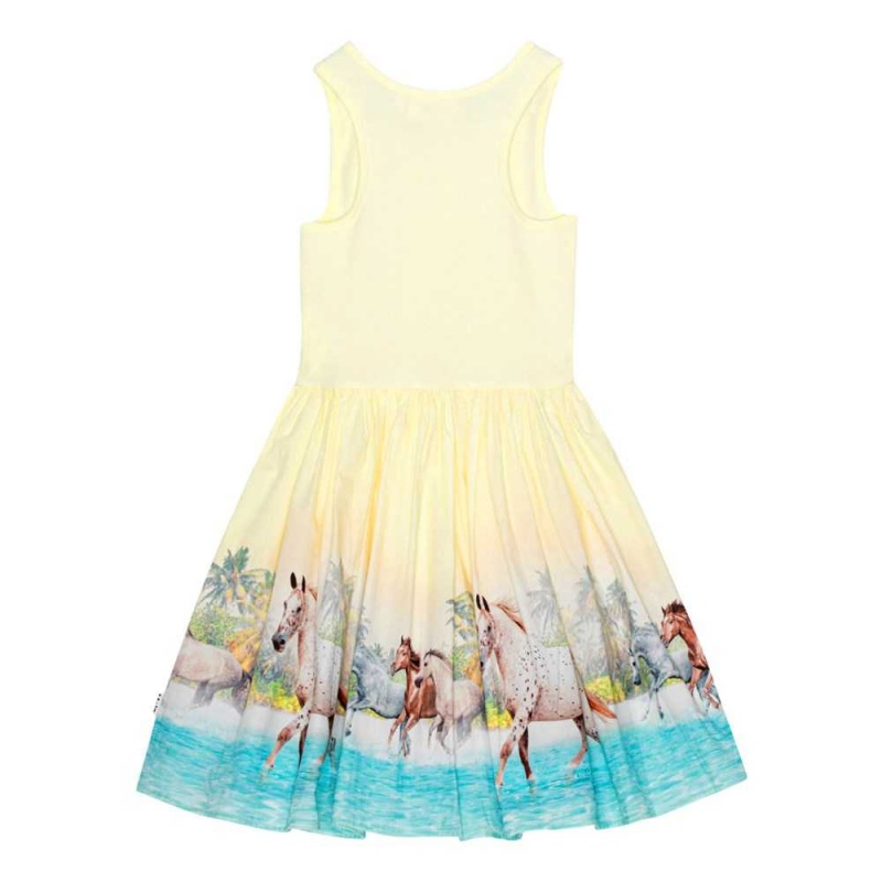 Molo Cassandra Tytöille Dresses Beach Horses | FI0000238