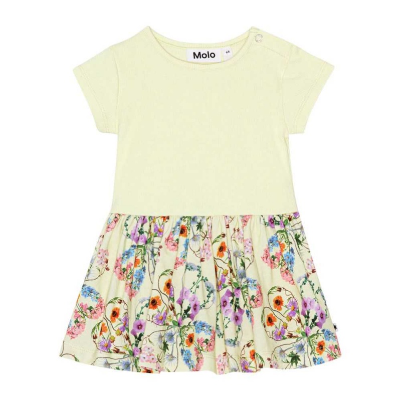 Molo Catja Tytöille Dresses Flower Love | FI0001291