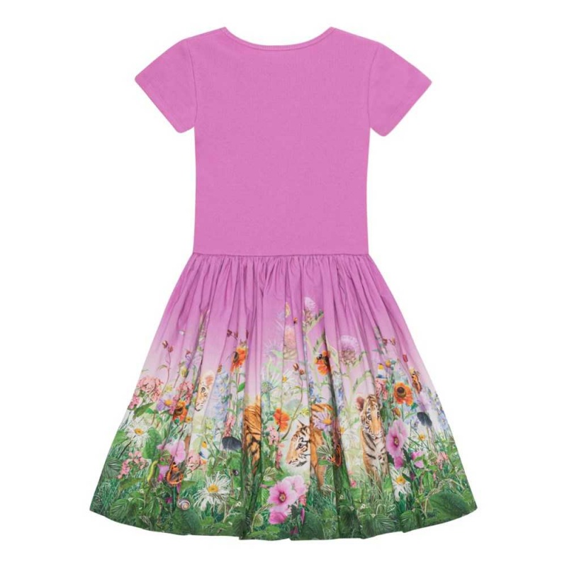 Molo Cissa Tytöille Dresses Four Little Cubs | FI0000250