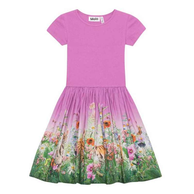 Molo Cissa Tytöille Dresses Four Little Cubs | FI0000250