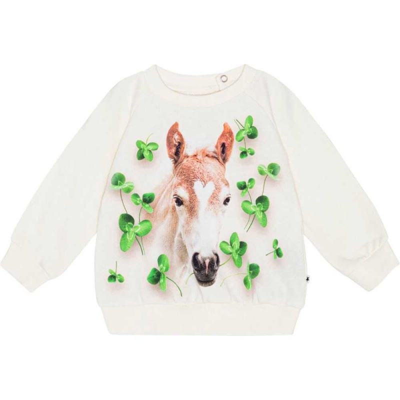 Molo Disc Tytöille Sweatshirts Cardigans Clover Foal | FI0001406