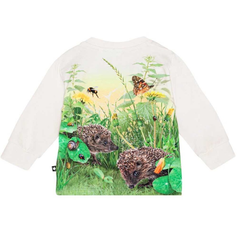 Molo Eloy Pojille T Shirts Tops Living Garden | FI0001417