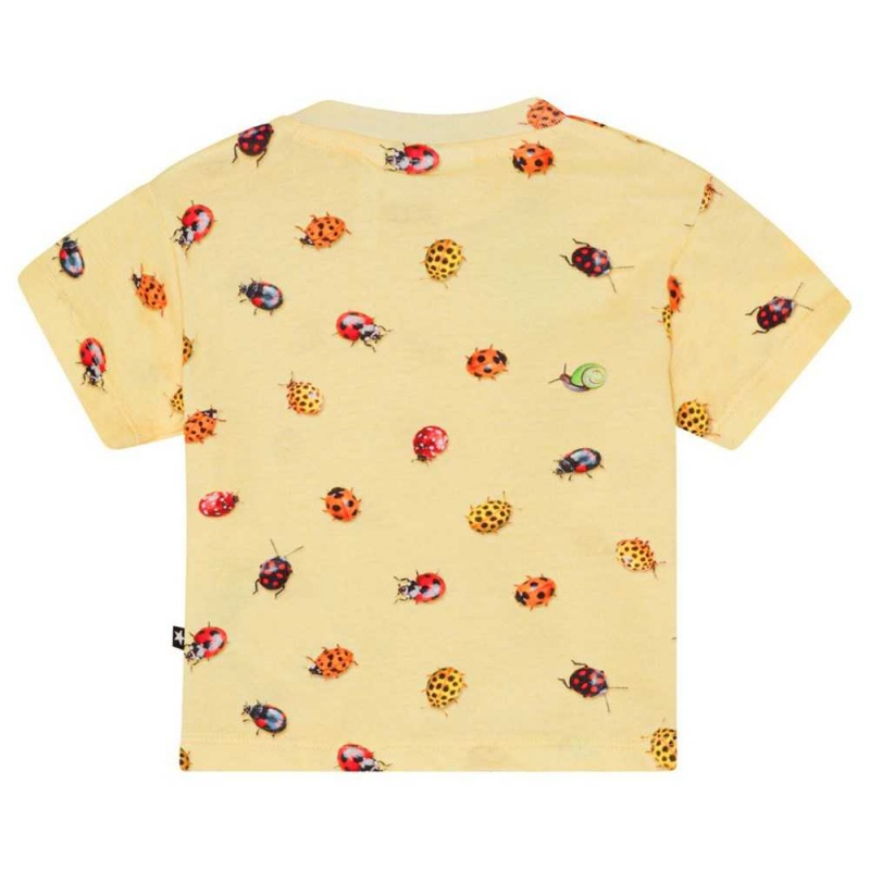 Molo Enzo Pojille T Shirts Tops Coccinella | FI0001411