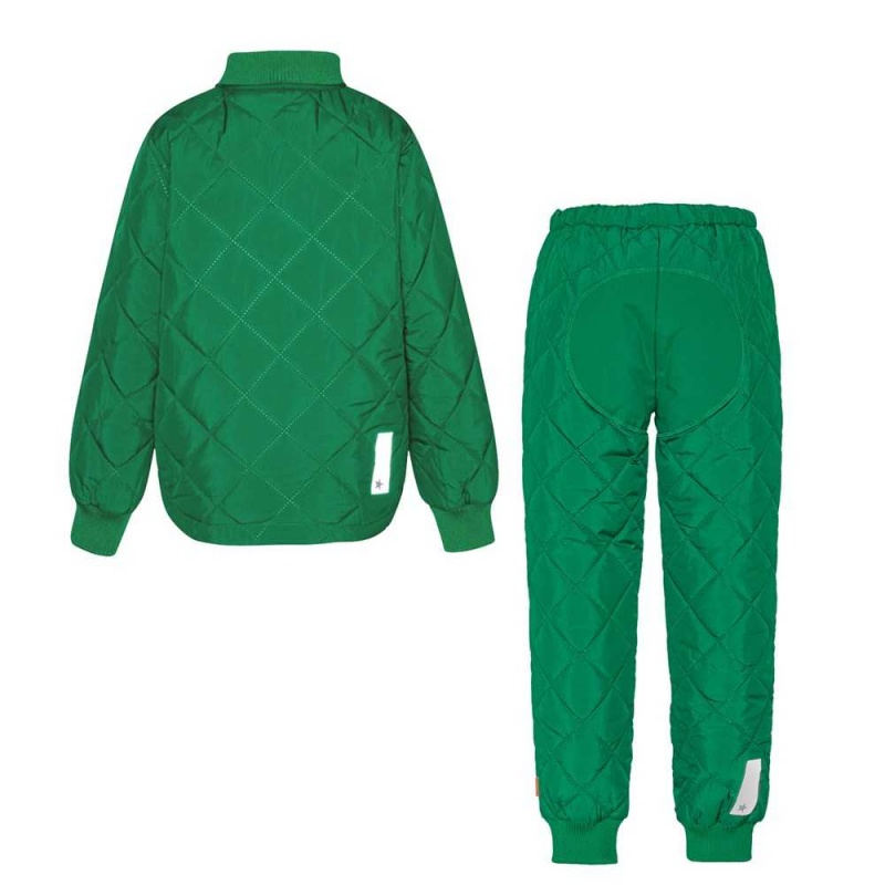 Molo Hawkins Fleece Softshell Vivid Green | FI0000148