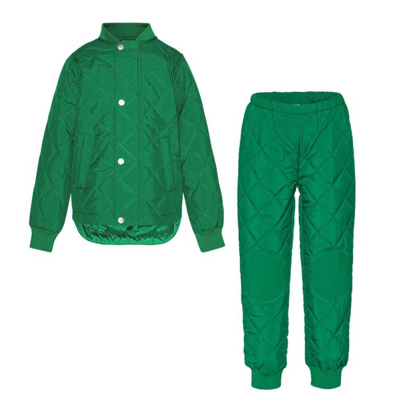 Molo Hawkins Fleece Softshell Vivid Green | FI0000148