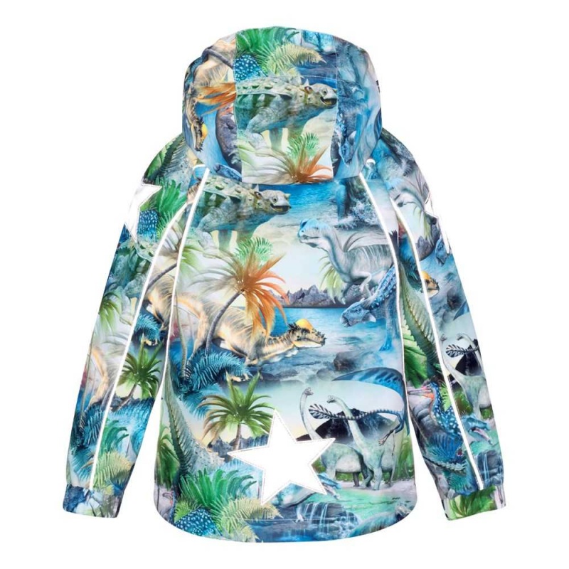 Molo Hopla Jackets & Coats Dino Fantastic | FI0000018