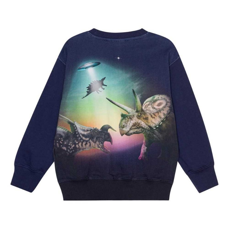 Molo Mattis Pojille Sweatshirts Cardigans Beam Up Dinos | FI0000755