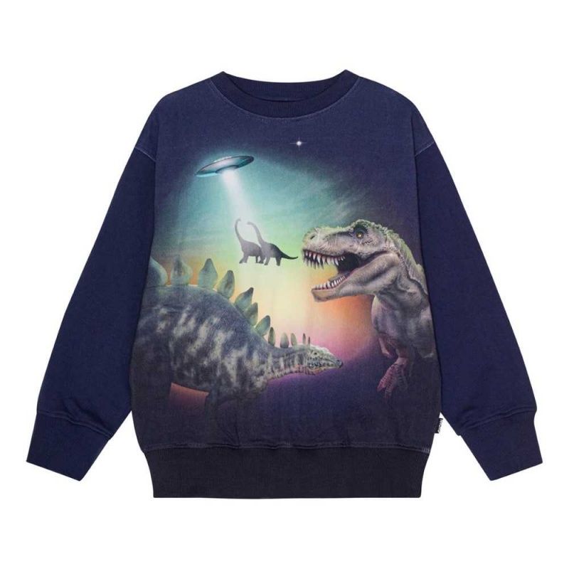 Molo Mattis Pojille Sweatshirts Cardigans Beam Up Dinos | FI0000755