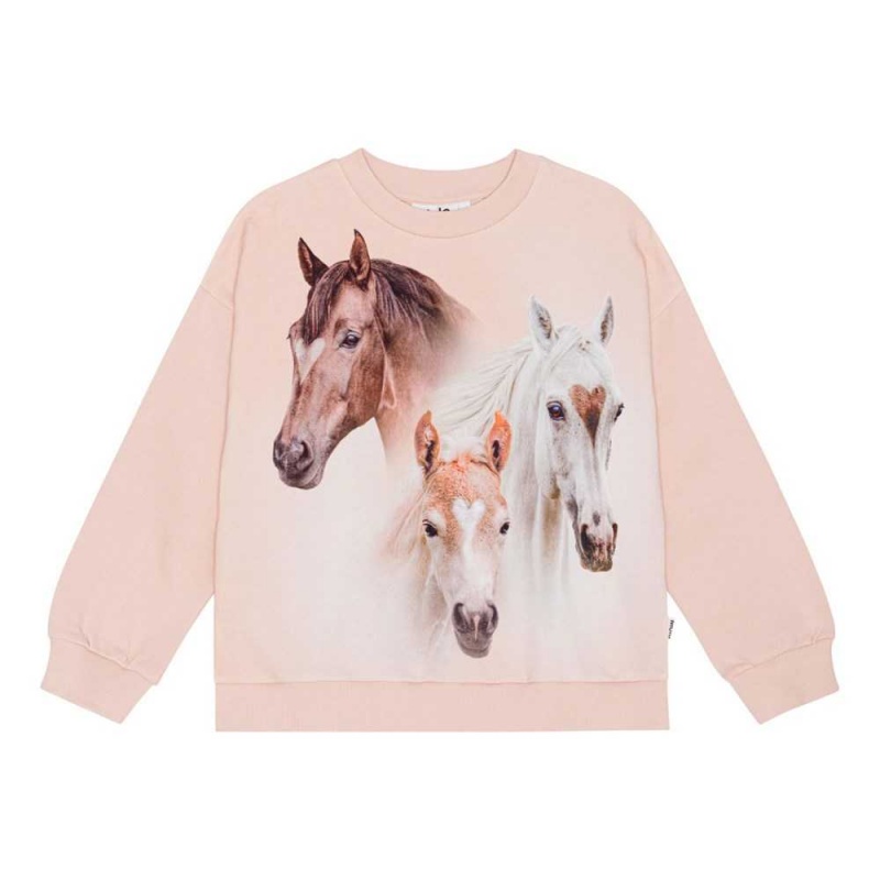 Molo Maxi Tytöille Sweatshirts Cardigans Three Friends | FI0000481