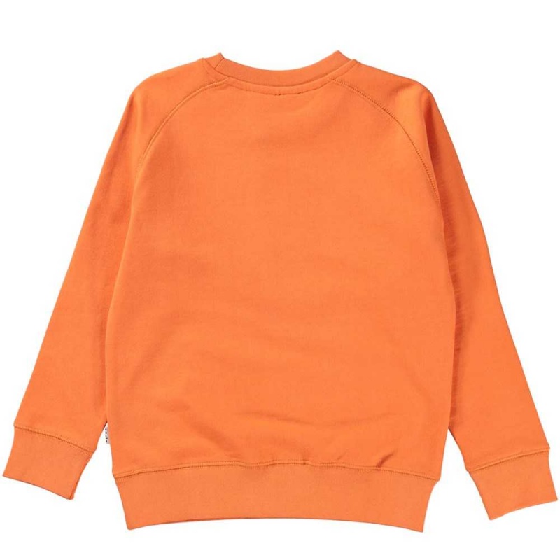 Molo Mike Pojille Sweatshirts Cardigans Ember | FI0000742