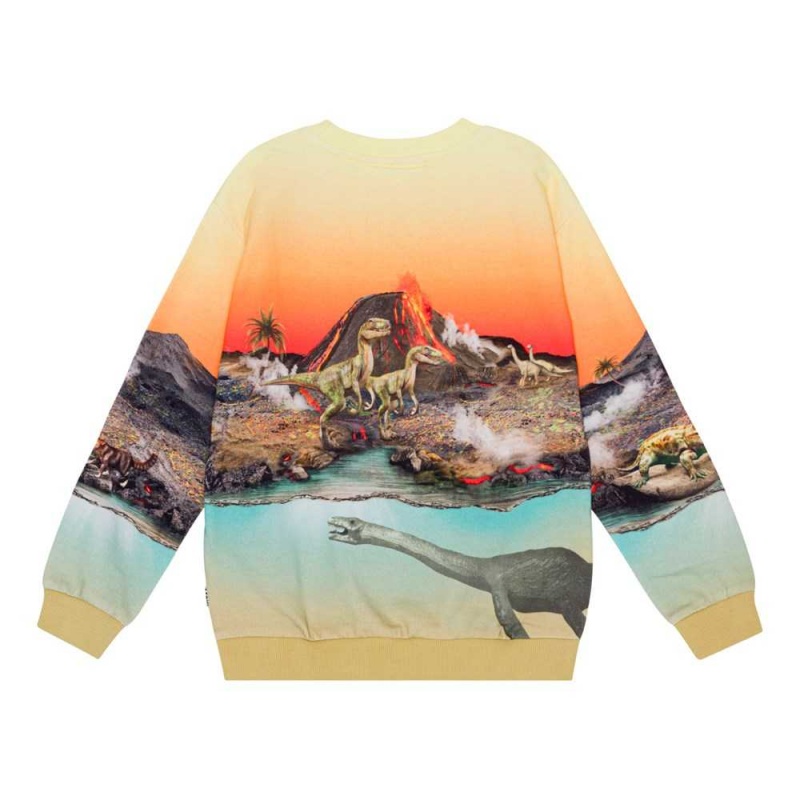 Molo Miksi Pojille Sweatshirts Cardigans Volcano Dinos | FI0000743