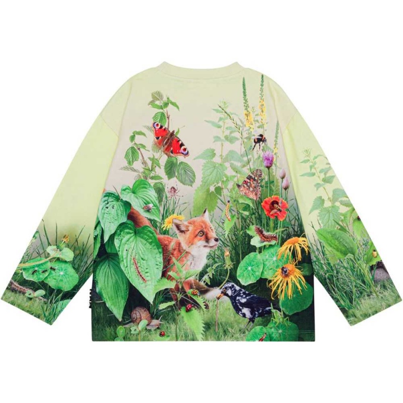 Molo Mountoo Pojille Sweatshirts Cardigans Wild Garden | FI0000754