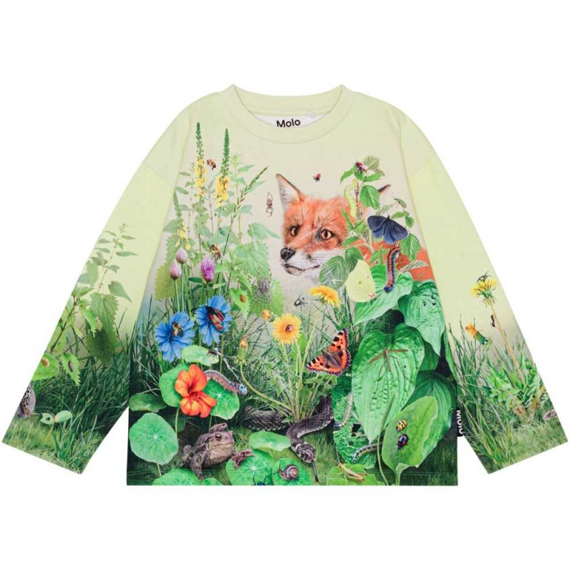 Molo Mountoo Pojille Sweatshirts Cardigans Wild Garden | FI0000754