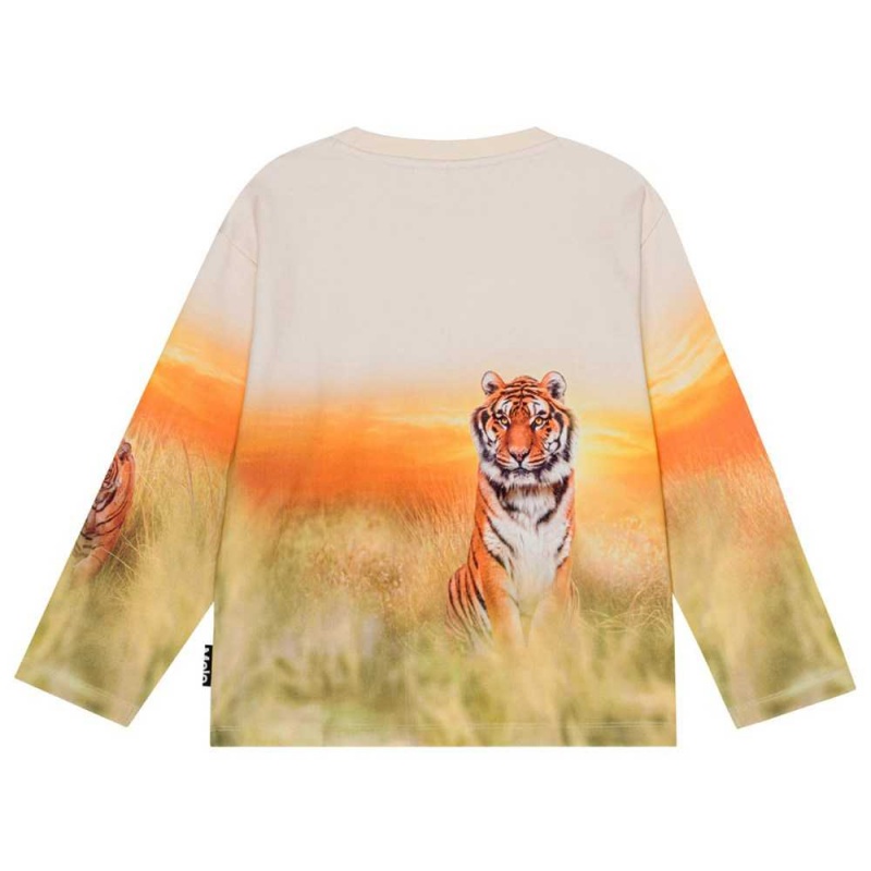 Molo Mountoo Pojille Sweatshirts Cardigans Sunrise Tiger | FI0000767