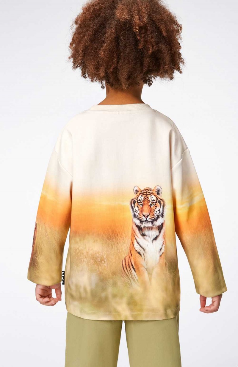 Molo Mountoo Pojille Sweatshirts Cardigans Sunrise Tiger | FI0000767