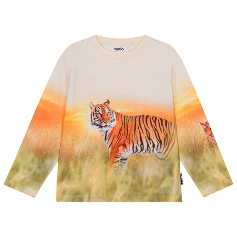 Molo Mountoo Pojille Sweatshirts Cardigans Sunrise Tiger | FI0000767