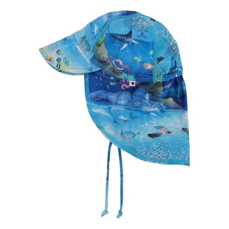 Molo Nando Hats & Caps Ocean Zones | FI0000939