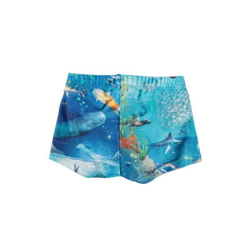 Molo Nansen Swimshorts Ocean Zones | FI0001138