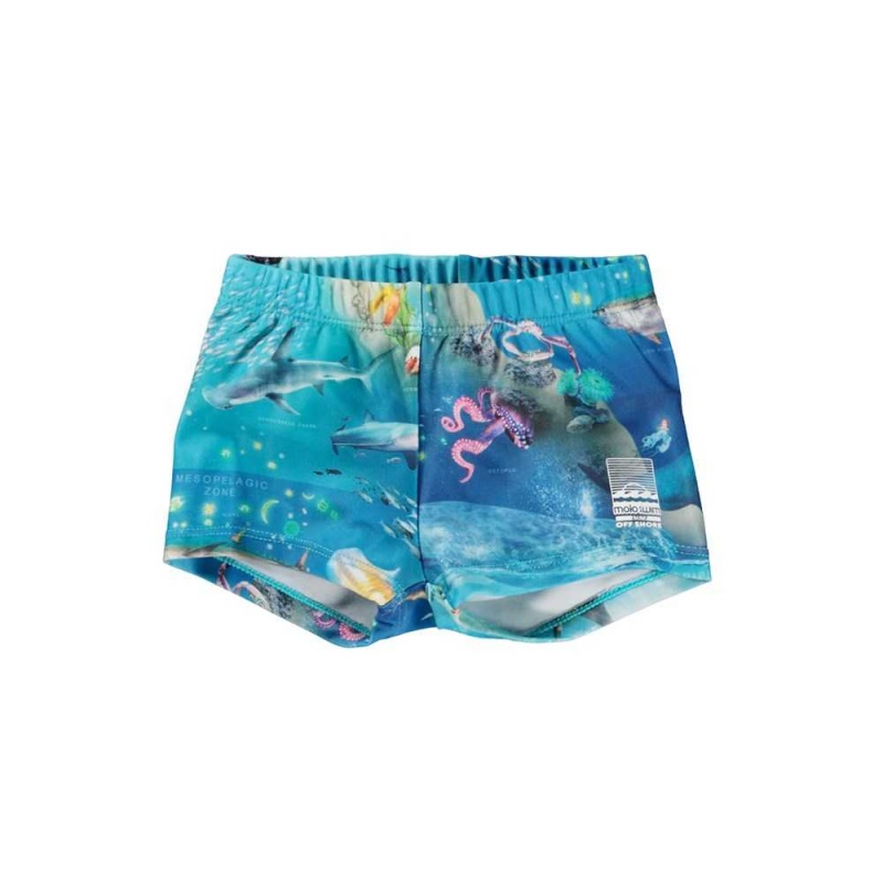 Molo Nansen Swimshorts Ocean Zones | FI0001138