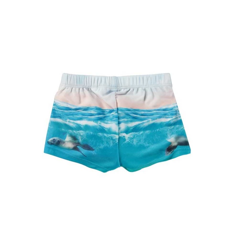 Molo Nansen Swimshorts Sealion | FI0001115