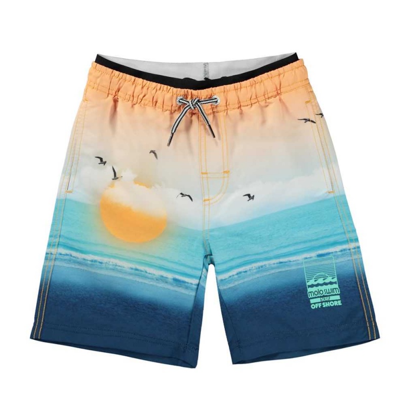 Molo Neal Swimshorts Sunset Beach | FI0001147