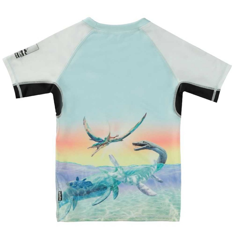 Molo Neptune Rash guards Ancient Island | FI0001085