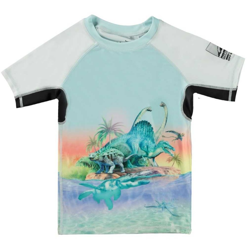 Molo Neptune Rash guards Ancient Island | FI0001085