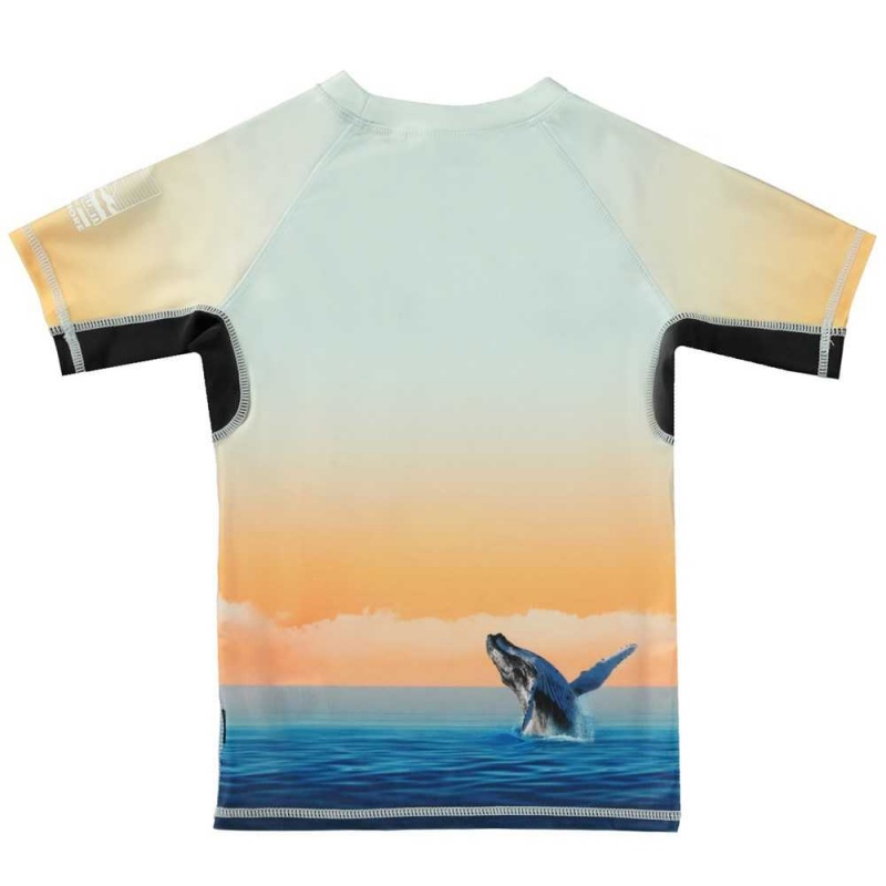 Molo Neptune Rash guards Ocean Smile | FI0001089