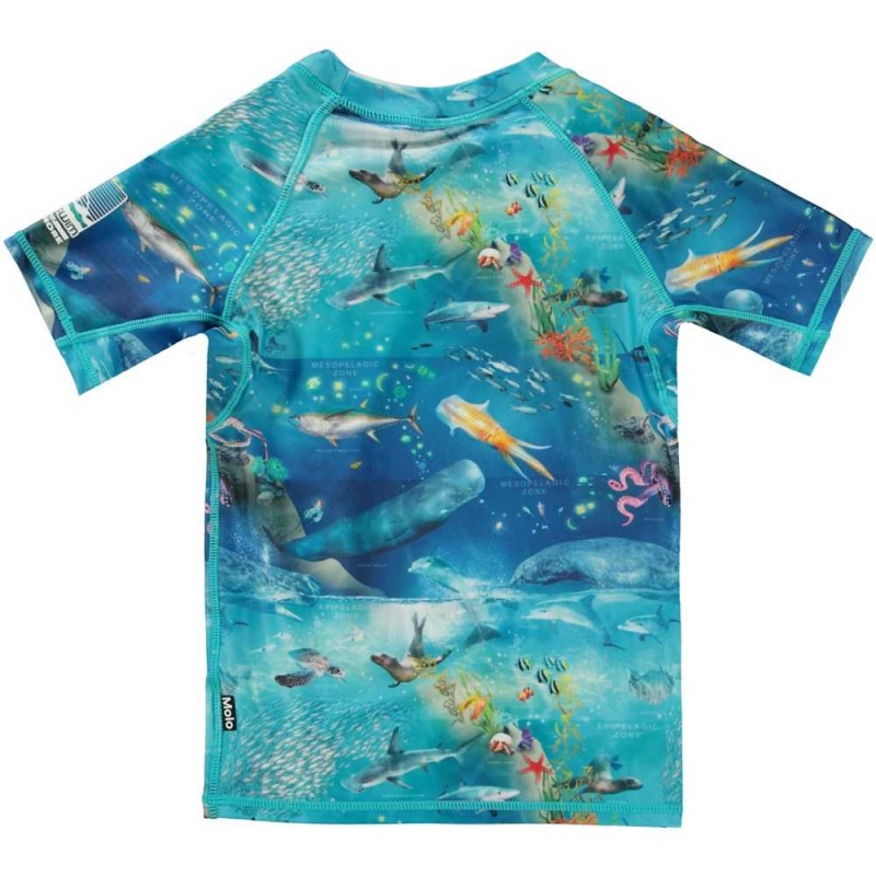 Molo Neptune Rash guards Ocean Zones | FI0001086