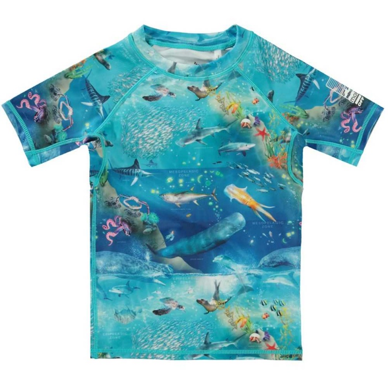 Molo Neptune Rash guards Ocean Zones | FI0001086