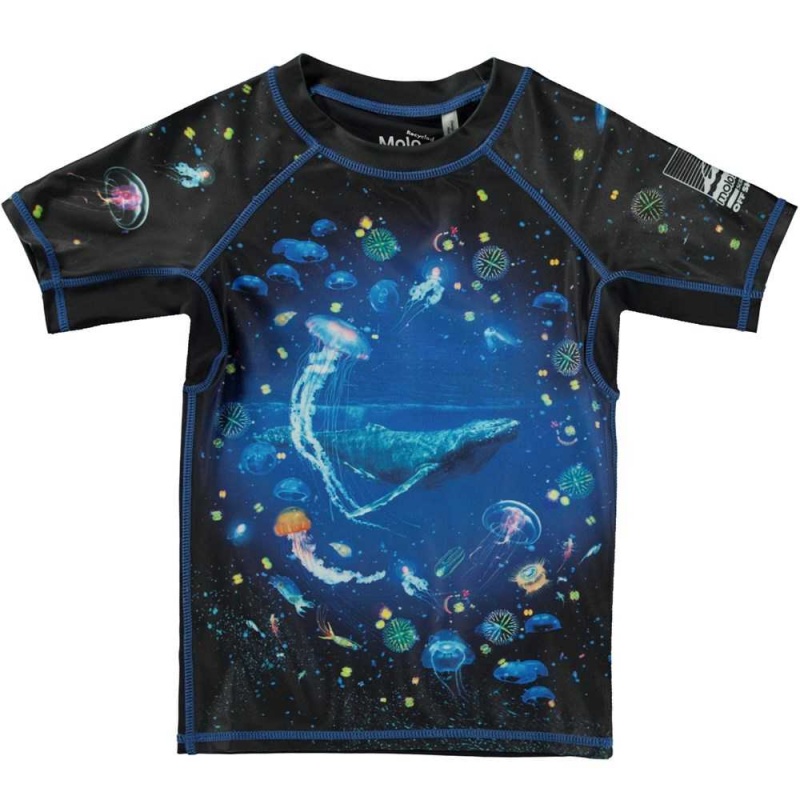 Molo Neptune Rash guards Plankton | FI0001095