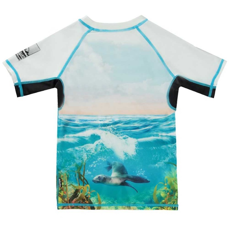 Molo Neptune Rash guards Sealion | FI0001074