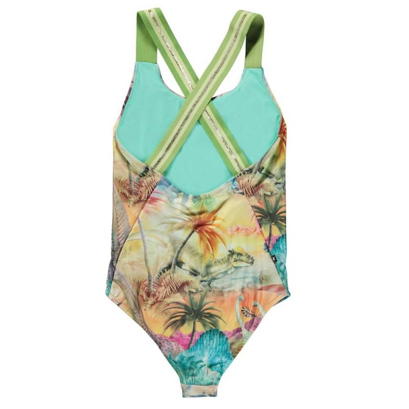 Molo Neve Swimsuits Dino Paradis | FI0001204