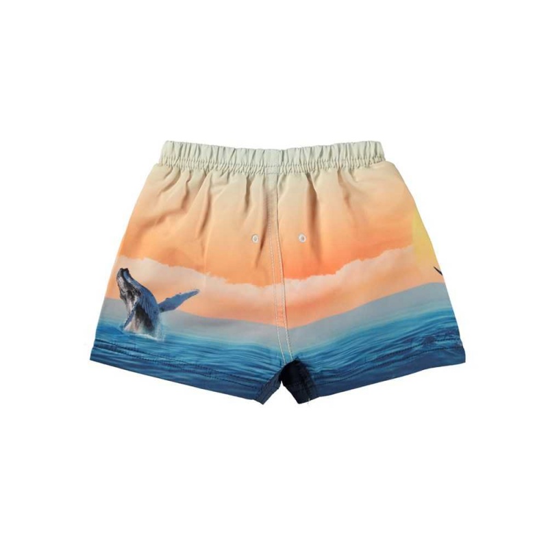 Molo Newton Swimshorts Ocean Smile | FI0001149