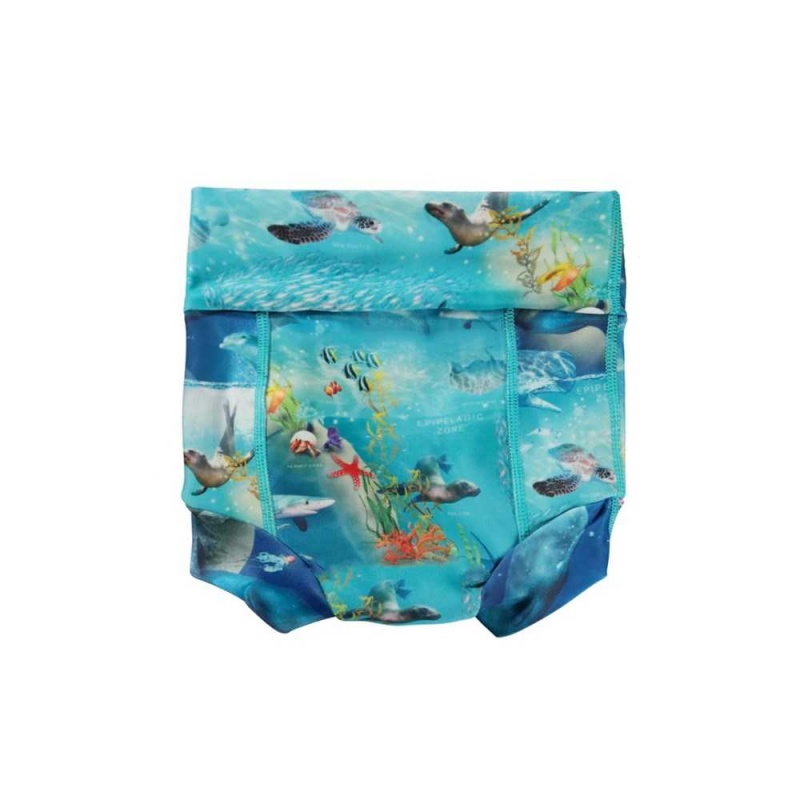 Molo Nick Swimshorts Ocean Zones | FI0001135