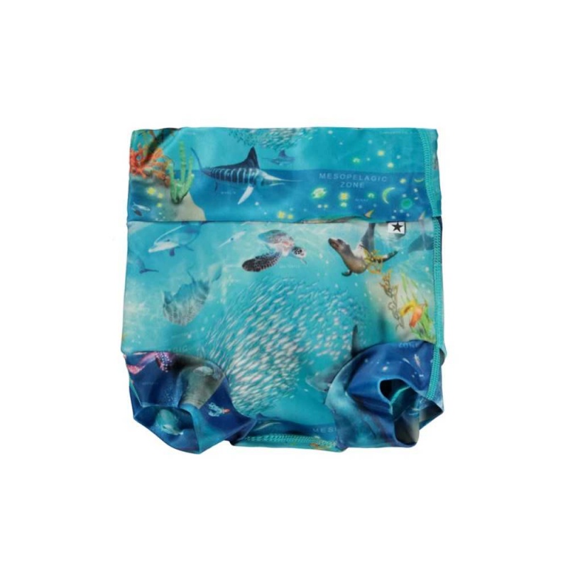 Molo Nick Swimshorts Ocean Zones | FI0001135